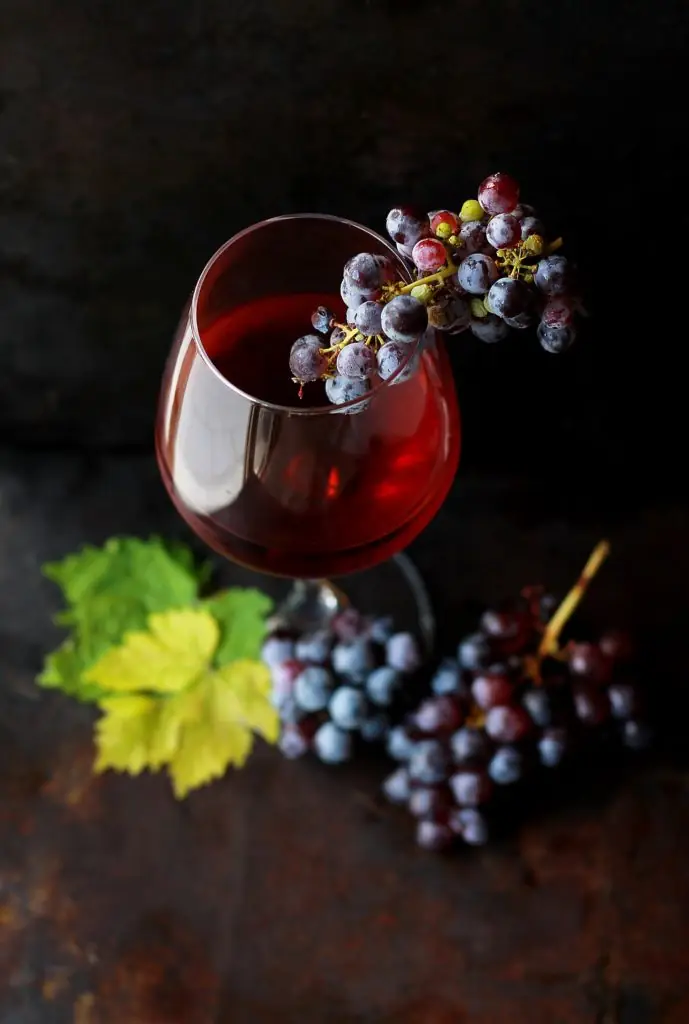 Aperitivo en el viñedo con degustación