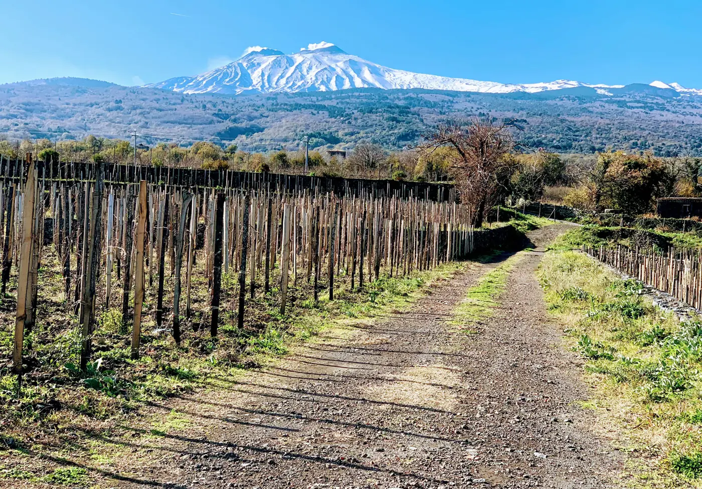 La Ruta del Vino del Etna