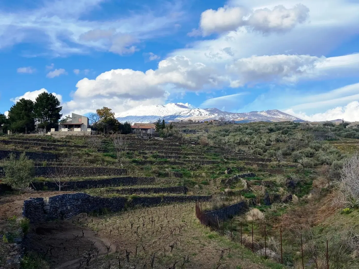 Le Inghimbriti dell'Etna