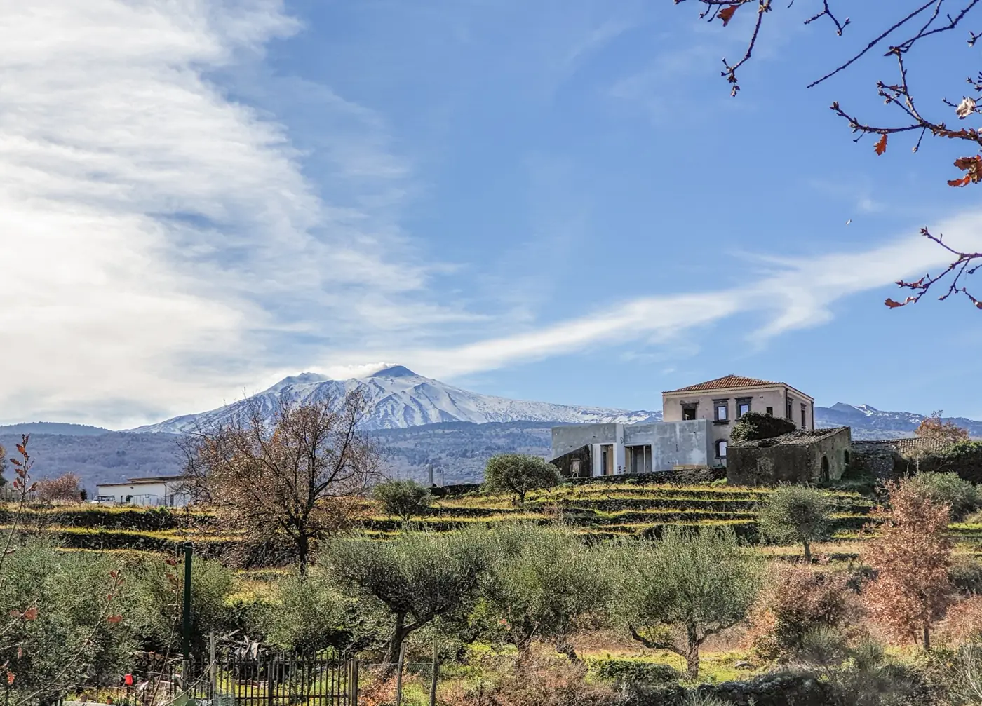 La antigua bodega del Etna: el Palmento de la Martinella.
