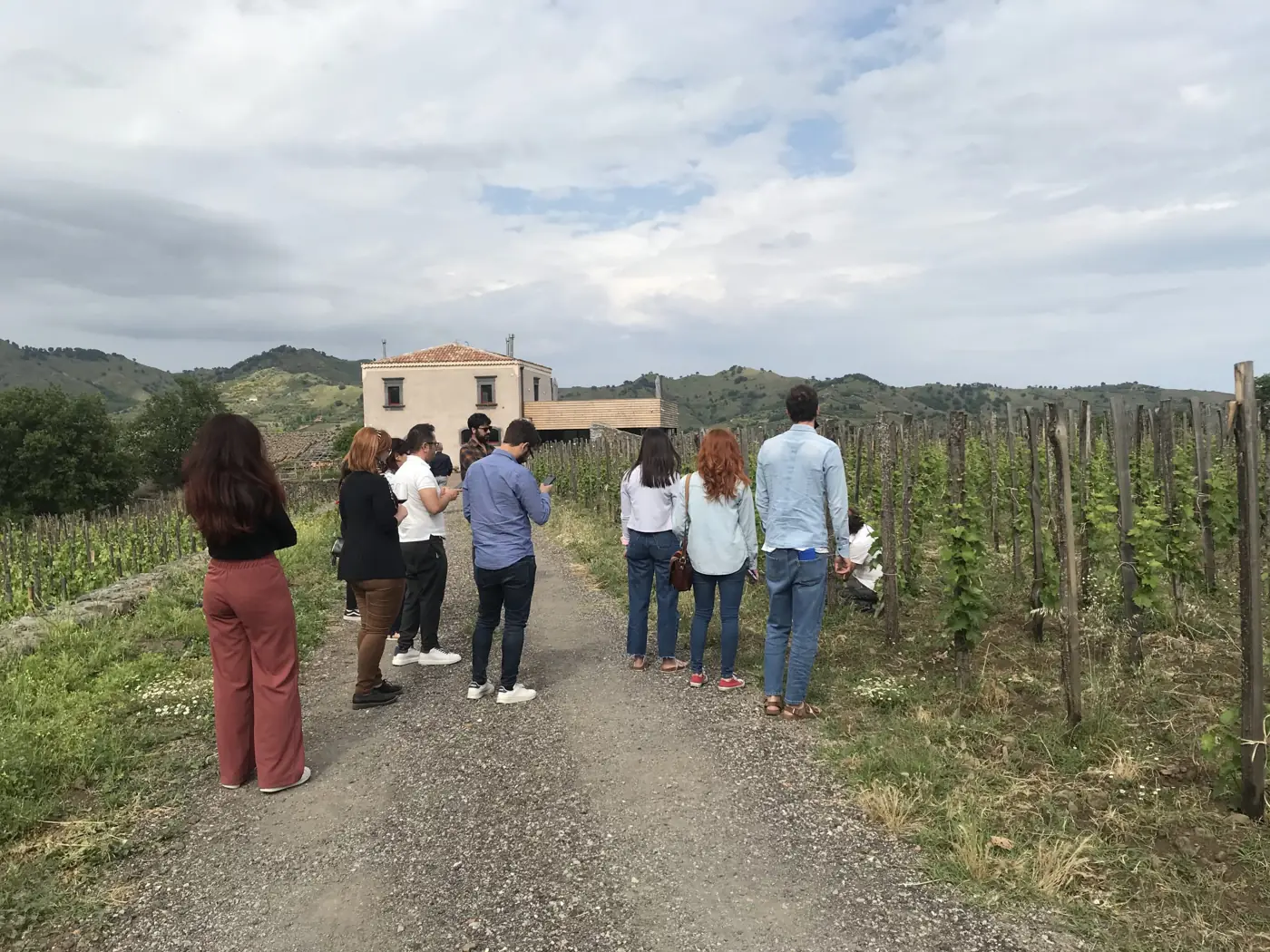 Percorso enogastronomico Tutto il Vulcano