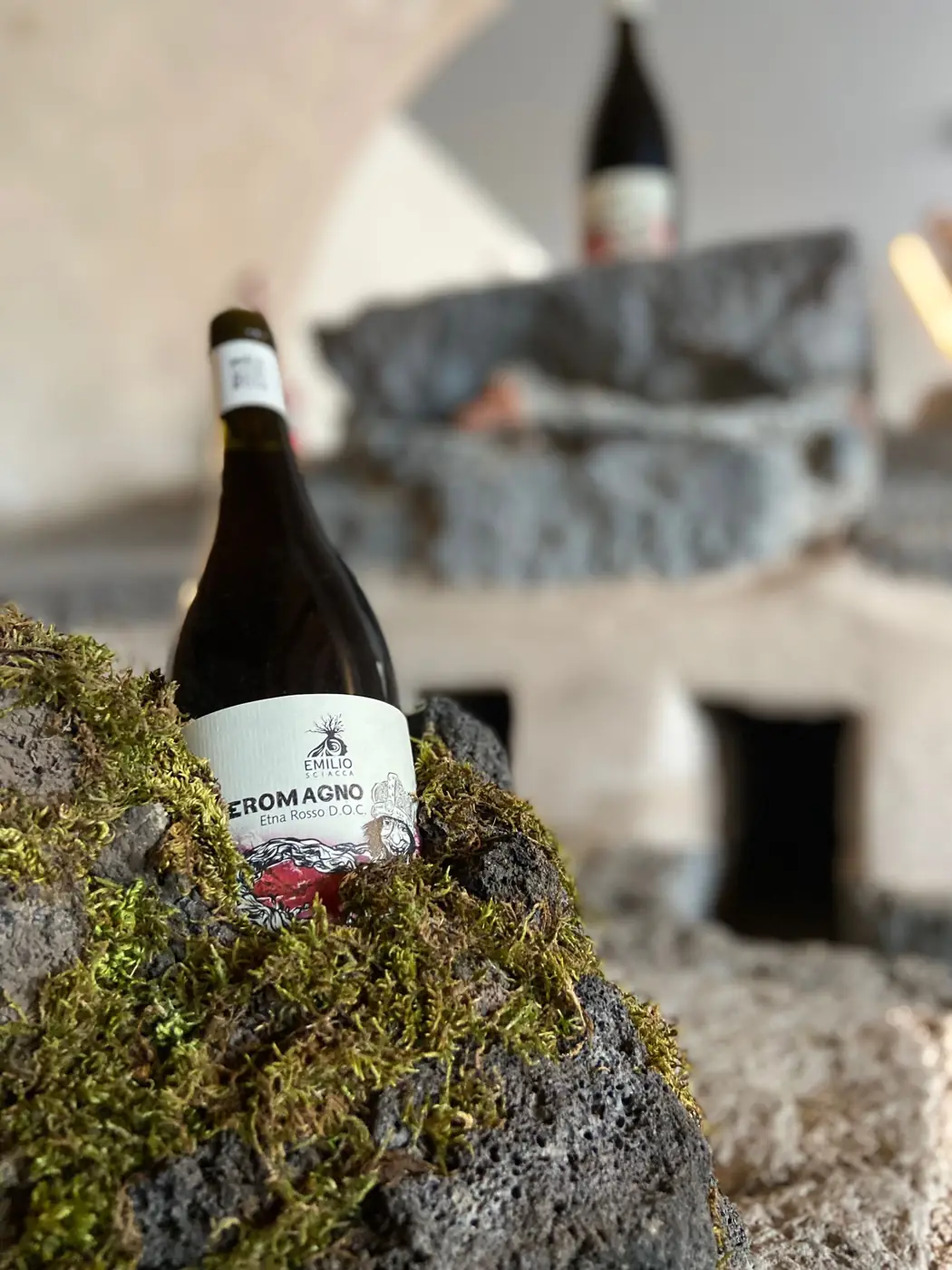 Technical Etna Wine Tasting 4 wines and Vineyard Visit