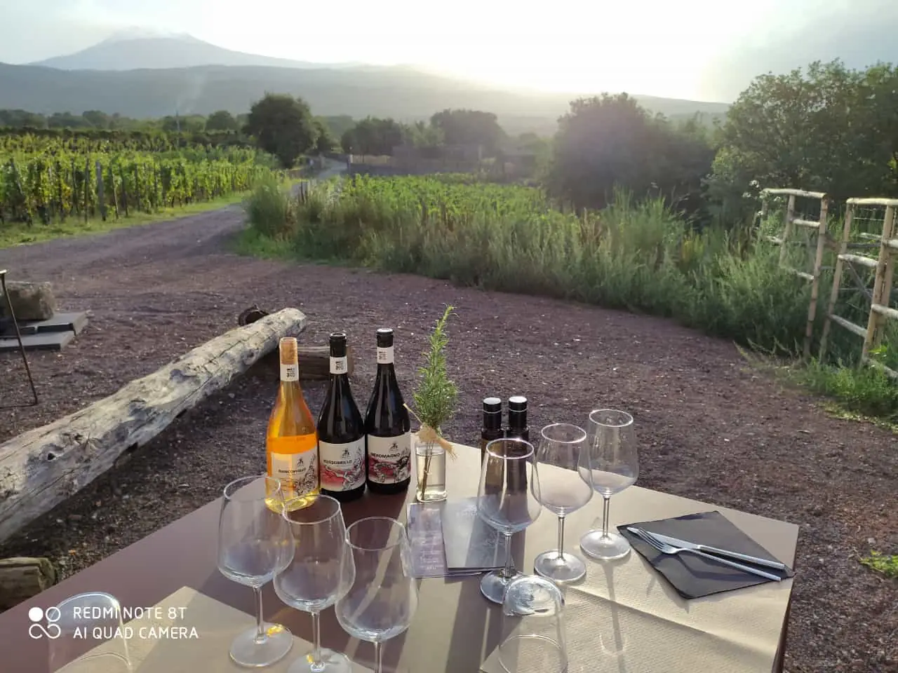 Etna Wine Tasting & Lunch Experience with Departure from Taormina